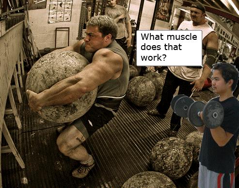 what-muscle-atlas-stone.jpg