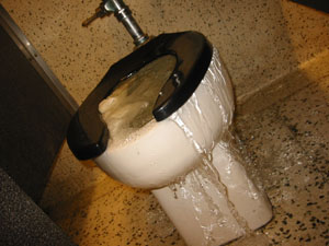 overflowing+toilet.jpg