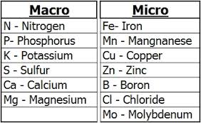 Macro & Micro Nutrients Chart