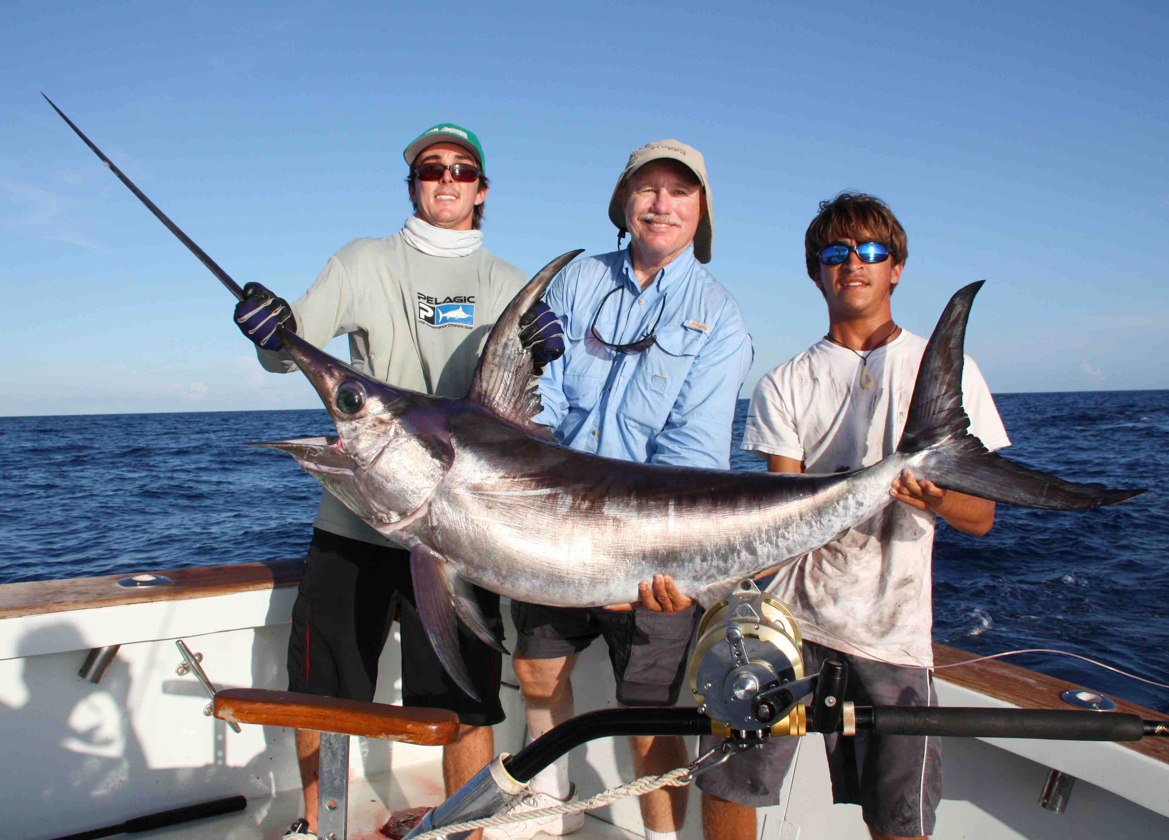 РЎРїРёРЅРЅРёРЅРі Blue Swordfish