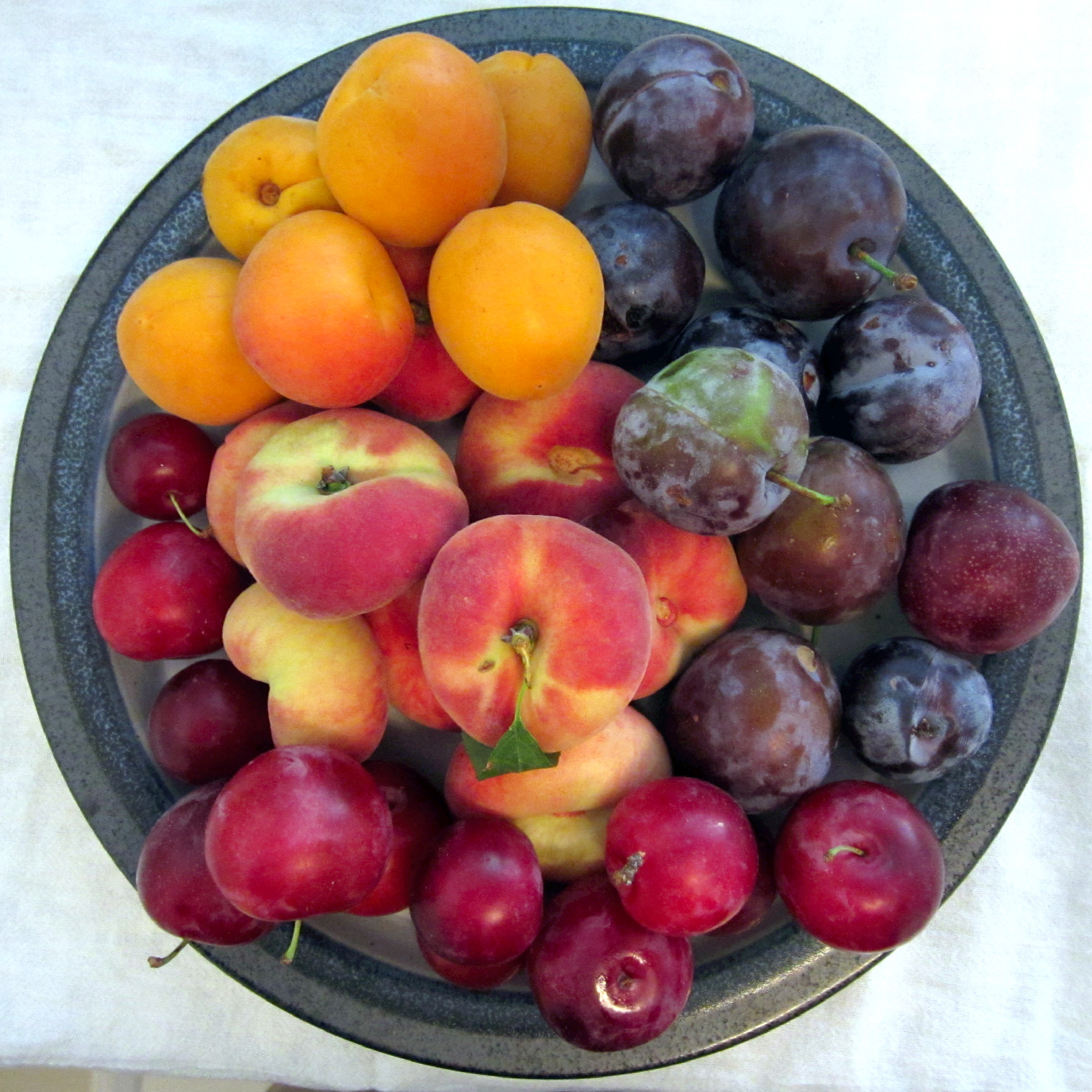 Stone fruit. Топ фруктов. Каменные фрукты ДСТ. Ripe Stone Fruit. Попсокеткаменные фрукты.